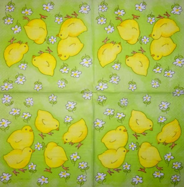 049 Küken - 3-lagig - (49)